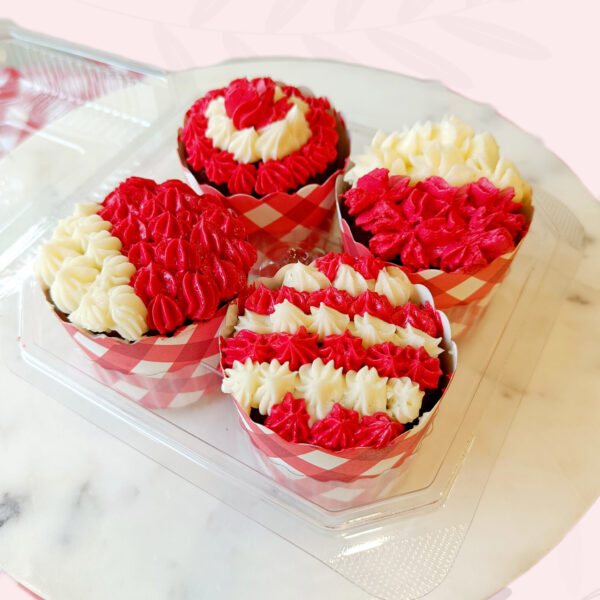 Cupcake Box (Set of 4)