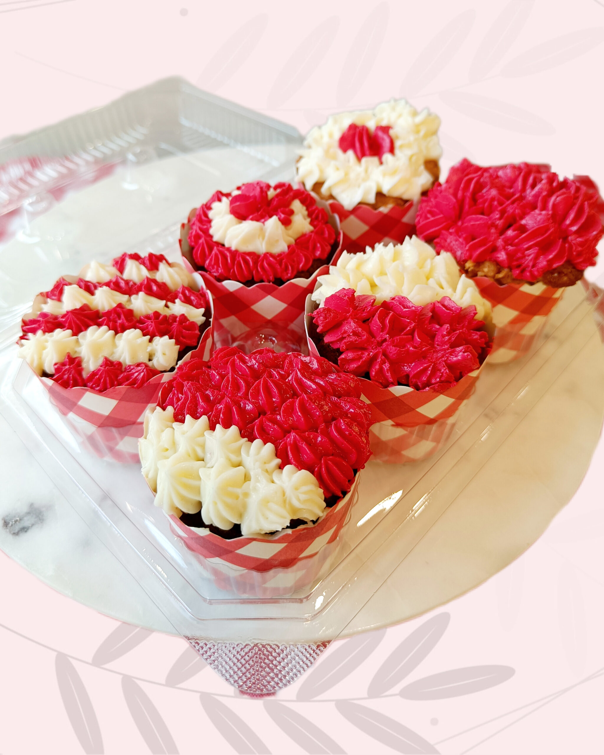 Cupcake Box (Set of 6)